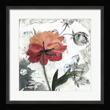 Framed Blossom Montage IV Print