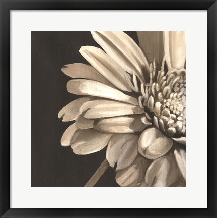 Framed Classical Blooms IV Print