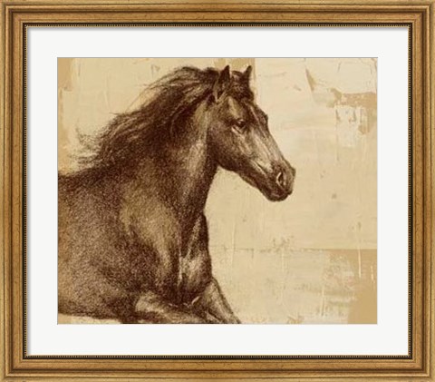 Framed Majestic Horse I Print