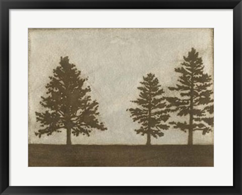 Framed Silver Pine I Print