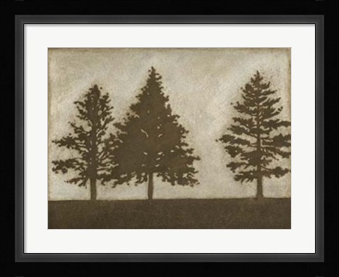 Framed Silver Pine II Print