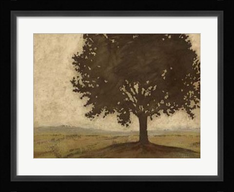 Framed Shenandoah Vista II Print