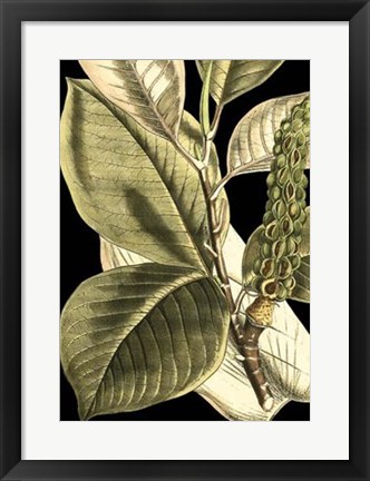 Framed Tranquil Tropical Leaves II Print