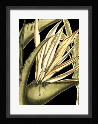 Framed Tranquil Tropical Leaves III Print