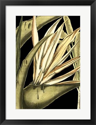 Framed Tranquil Tropical Leaves III Print