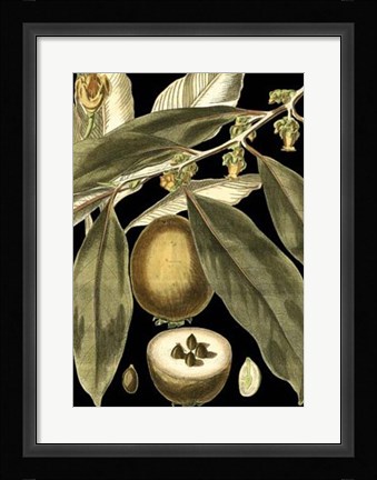 Framed Tranquil Tropical Leaves IV Print
