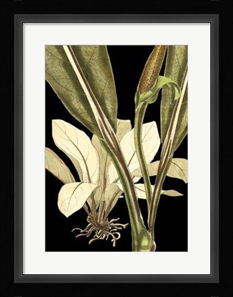 Framed Tranquil Tropical Leaves V Print
