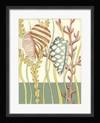Framed Shell Season II Print