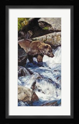 Framed Salmon Zen Print