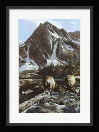 Framed Mountainside Elk II Print