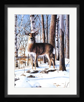Framed Simply Curious I Print