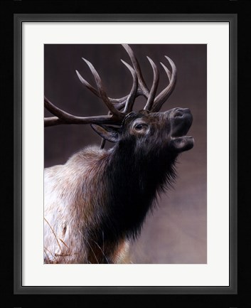 Framed American Icon- Elk Print