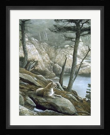 Framed Cougar Print