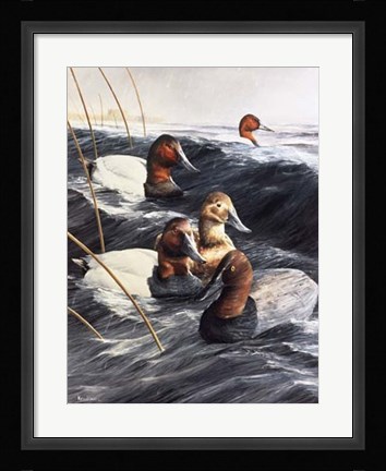 Framed Lost Decoy Print