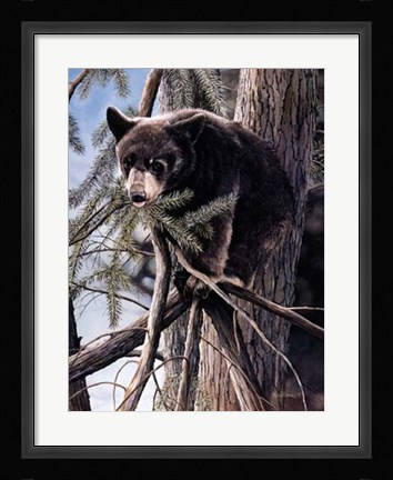 Framed Out on a Limb Print