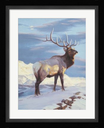 Framed Royal Morning Print