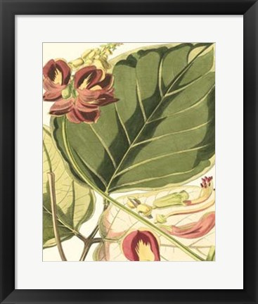 Framed Fantastical Botanical I Print