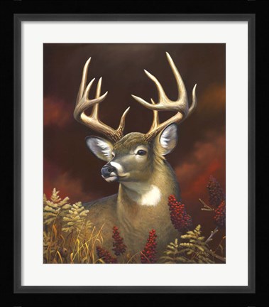 Framed Deer Portrait Print