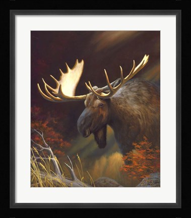 Framed Moose Portrait Print