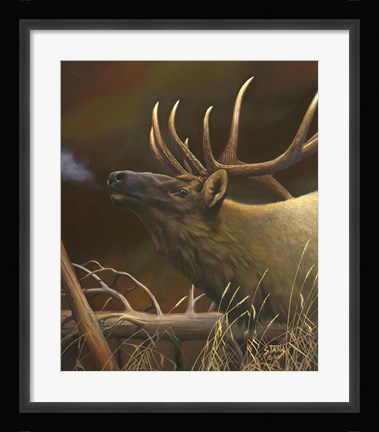 Framed Elk Portrait I Print