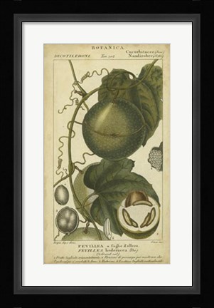 Framed Exotic Botanica I Print
