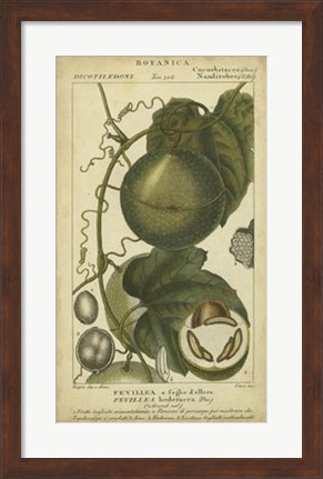 Framed Exotic Botanica I Print