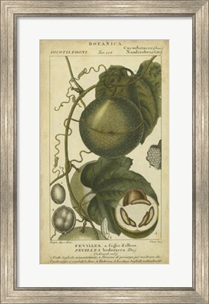 Framed Exotic Botanica I Print