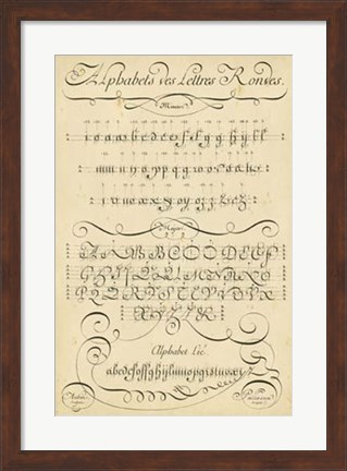 Framed Alphabet Sampler I Print