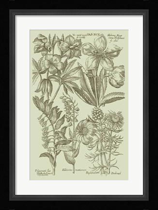Framed Garden of Flora III Print