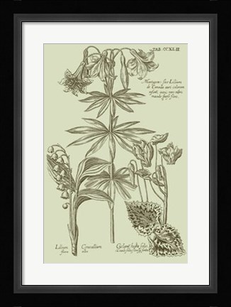 Framed Garden of Flora IV Print