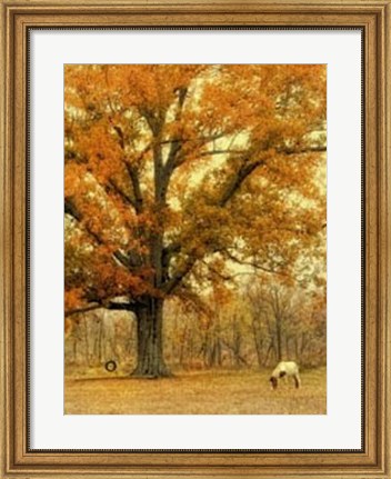 Framed Autumn Grazing Print