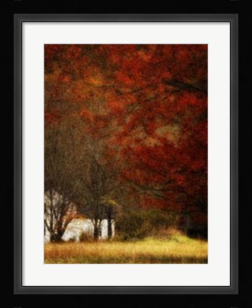 Framed Beyond October's Maple Print