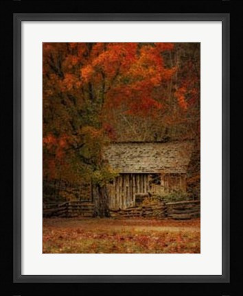 Framed Mill Print