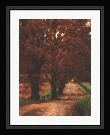 Framed Dirt Road Print