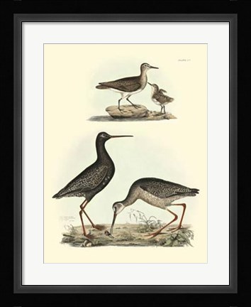 Framed Sandpipers I Print