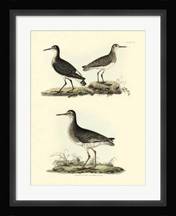 Framed Sandpipers II Print