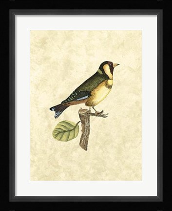 Framed Birds I Print