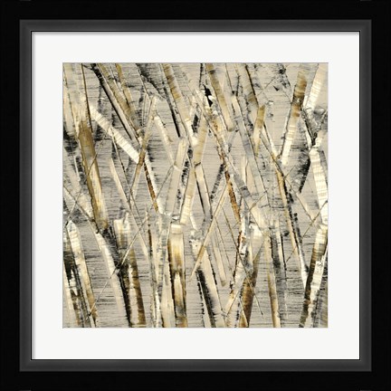 Framed Birches V Print