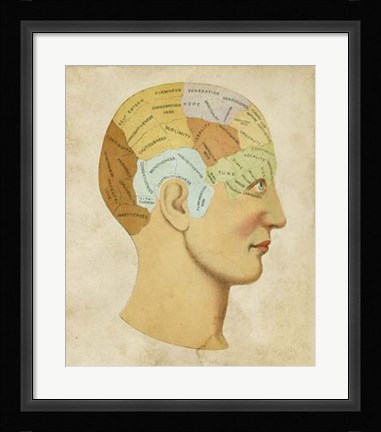 Framed Vintage Phrenology Print