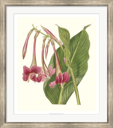 Framed Tropical Indian Reed Print