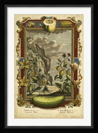 Framed Genesis Fruits I Print