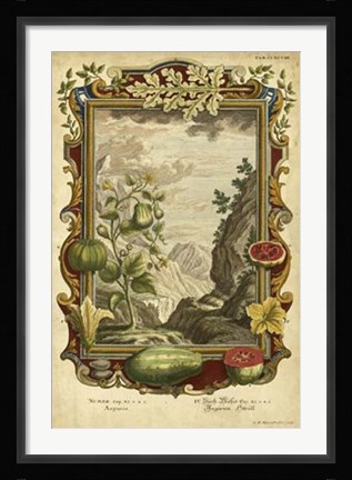 Framed Genesis Fruits II Print