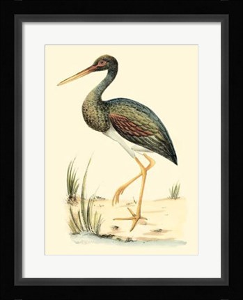 Framed Water Birds II Print