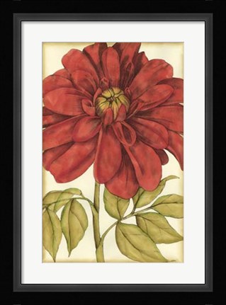 Framed Ruby Blooms III Print