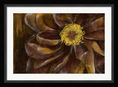 Framed Floral Illusion II Print