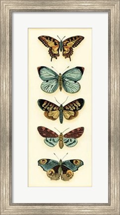 Framed Butterfly Collector VI Print