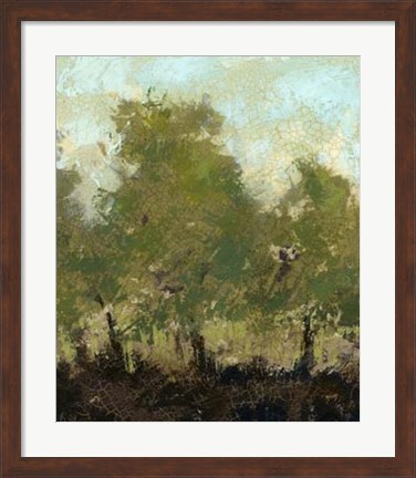 Framed Meadow Abstract I Print