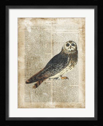 Framed Antiquarian Birds I Print