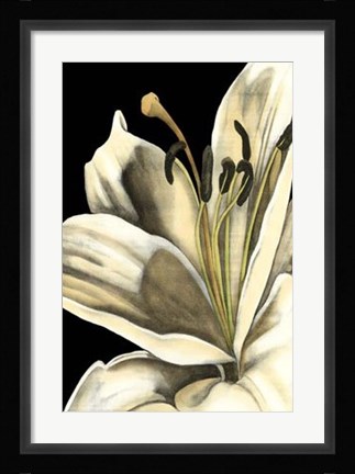 Framed Graphic Lily III Print
