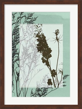 Framed Translucent Wildflowers II Print
